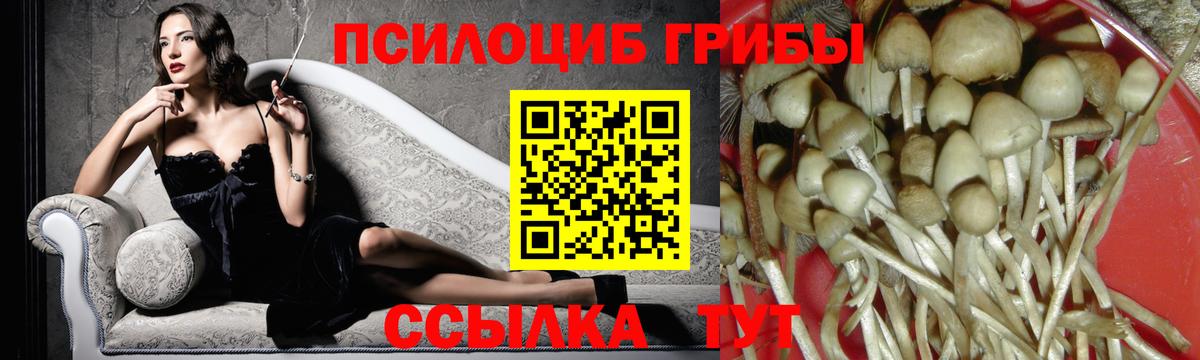 Псилоцибиновые грибы GOLDEN TEACHER Чистополь